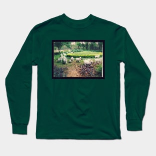 Counting Sheep Long Sleeve T-Shirt